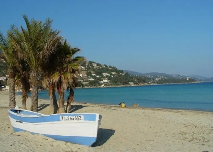 Apartment Coin Nuit Proche Avec Parking - - Fr-1-251-83 *